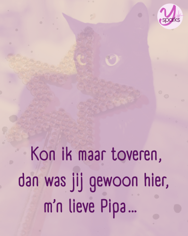 Ysparks Lieve Pipa