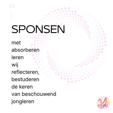 Top 10 competentie sponsen